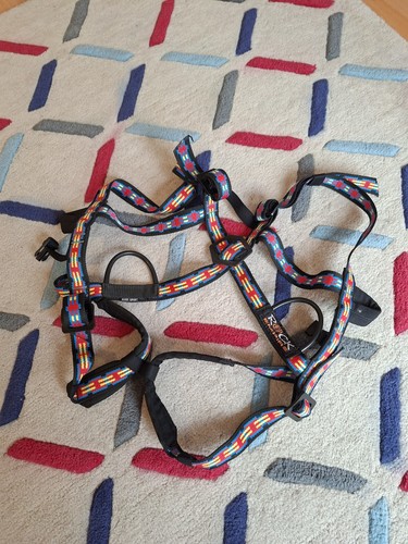 Climbing harness rock - harness, empire