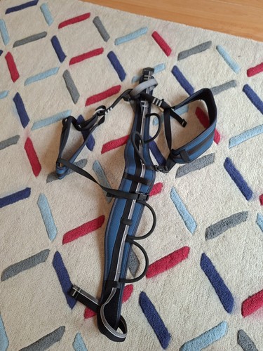 Apex rock climbing harness - climbing,