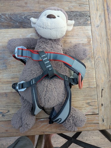 Dmm tomcat kids climbing - kids,