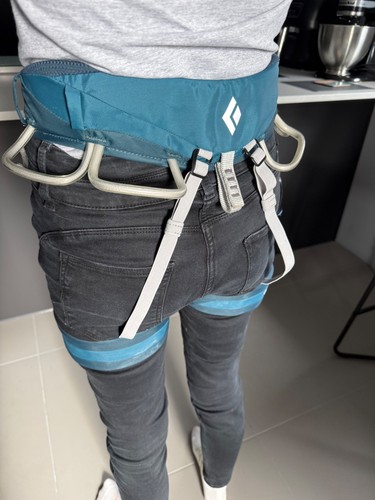 Black diamond climbing harness - diamond,