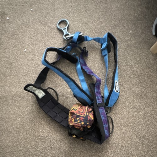 Petzl climbing harness - climbing, used